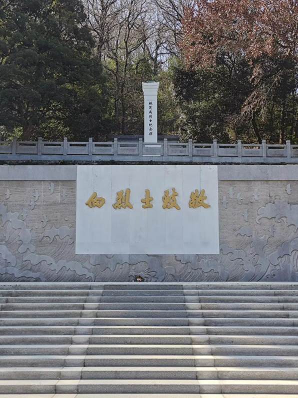 7294F92F36A522EF0D3137A522EEF7F9